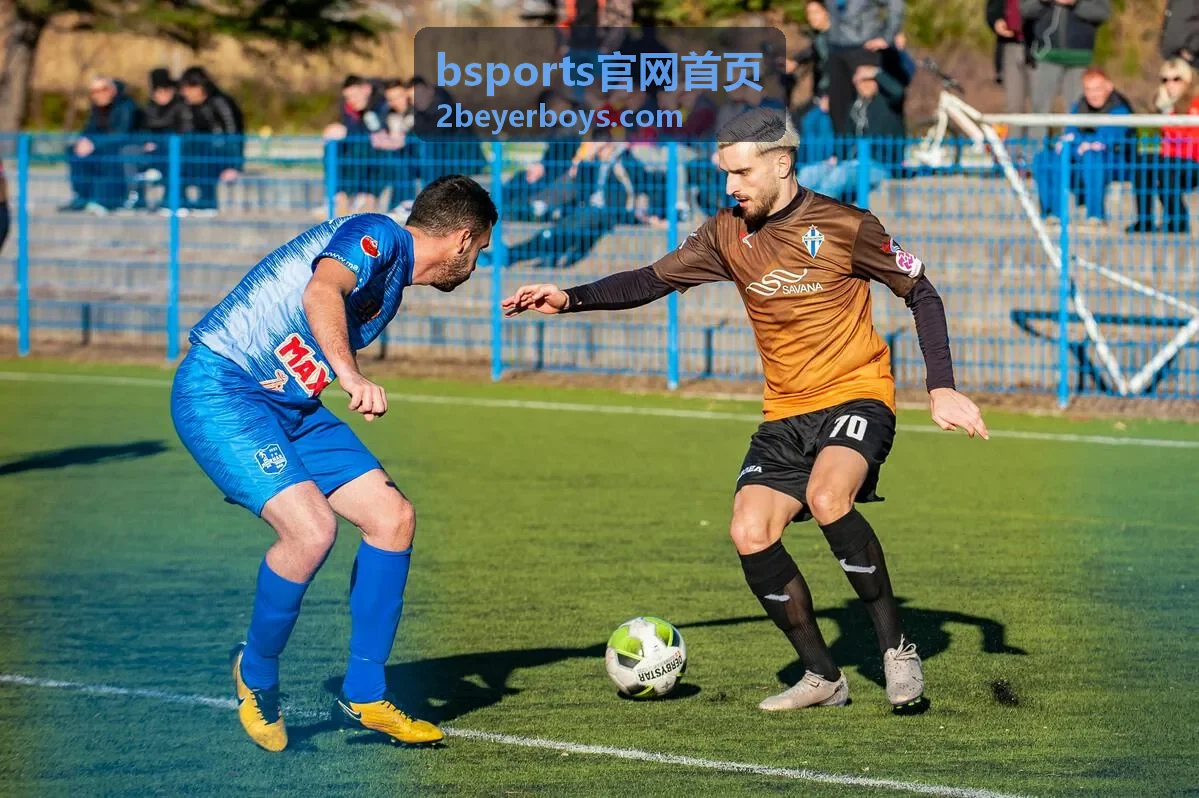 bsports官网首页体育数据与战绩分析示意